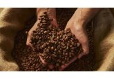 Record pentru cafea. Preţul de arabica a atins un nou maxim istoric pe fondul crizei diplomatice SUA-Columbia