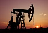 Against the background of the discussion on Friday in the Moldovan parliament of amendments to the law on the market of petroleum products, fuel prices increased by 4-5%.