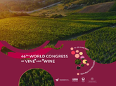 The World Congress on Vine and Wine, held for the first time in Moldova, concluded with the adoption of 14 new resolutions in viticulture, oenology, economics, law, safety, and health 