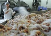 Украина вошла в тройку крупнейших поставщиков курятины в ЕС в 2020 году