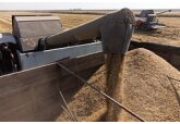Цены на рис резко выросли из-за глобальной проблемы