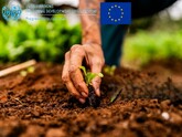 A început înregistrarea cererilor de participare la Programul de formare și consolidare a capacităților fermierilor și IMM-urilor din sectorul agroalimentar 