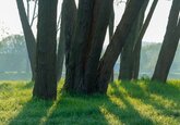 Bucureştiul va avea un nou parc. Zona unde va fi amenajat parcul „Tudor Arghezi”
