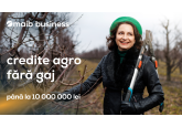 Soluții avantajoase și personalizate pentru agricultorii din Moldova! Descoperiți creditele agro de la maib și beneficiile care vă vor ajuta afacerea să înflorească