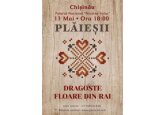 PLAIESII DRAGOSTE FLOARE DIN RAI