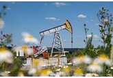 ЕС решил не вносить ограничения на покупку нефти из России в новый пакет санкций