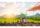 În luna aprilie, peste 900 de companii au primit subvenții agricole în valoare de 247 de milioane de lei.