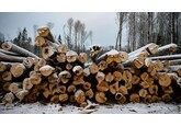 Trump’s Wood Tariffs Are Coming. Who Will Be Hit Hardest
