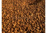 Studiu: Metoda naturală de a controla pofta de mâncare şi de a reduce caloriile 
