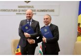 Moldova și Ungaria vor intensifica cooperarea în sectorul agricol.