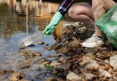 Создан биоразлагаемый пластик из рыбных отходов