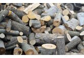 Europenii bogaţi şi săraci încep să-şi facă rezerve de lemne de foc şi cărbune de teama scumpirii energiei