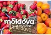 În perioada 2022-2025, exporturile sectorului fructifer din Moldova au depășit 200 de milioane de lei grație măsurilor de subvenționare ale Agenției pentru Investiții 