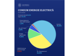 Guvernul Republicii Moldova: Consumul de energie electrică pe malul drept al râului Nistru a fost acoperit integral în perioada 5-6 ianuarie, fără utilizarea contractelor de urgență sau revărsări neprevăzute  