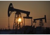 В Европе предложили принять меры против заработка Индией на российской нефти