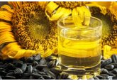 În a doua jumătate a anului 2023, veniturile celui mai mare holding agroindustrial din Moldova, Trans-Oil Group (Aragvi Holding International Ltd.) au constitui 1 mld. 292,4 mil. Dolari, fiind în creștere cu 13,1% față de aceeași perioadă a anului 2022.