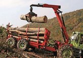 În SUA, criza de lemn pentru construcţii este atât de mare încât preţul cherestelei a crescut cu 300%. Efectele se vor simţi în întreaga lume, dar în special în Europa