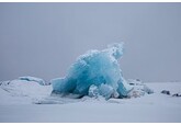 Внутри арктического льда обнаружены удивительные организмы