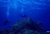 Красное море оказалось древнее, чем полагали