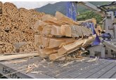 Efectele penuriilor de gaze, petrol şi cărbune: lemnul a redevenit important pentru siguranţa energetică