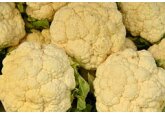 Названы спасающие от депрессии продукты