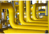 Eventuale măsuri de raţionalizare a gazelor la fabrica BASF din Germania ar putea arunca întreaga Europă în criză