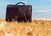Agenția pentru Intervenții și Plăți în Agricultură desfășoară o campanie de informare cu privire la plata subvențiilor pentru anul în curs.