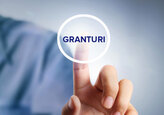 Un nou program de granturi, de 700 de mii de euro, a fost lansat în Moldova pentru dezvoltarea afacerilor antreprenorilor din raioanele Ungheni și Cahul.