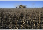 Argentina Fights to Save Huge Soy Exports After Dutch Rejections