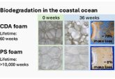 Новый разлагаемый в морской воде пластик успешно испытан