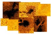 Nasa mission lines up to &#039;touch the Sun&#039;