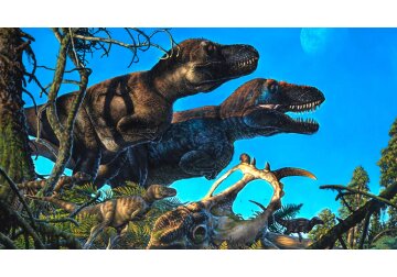 Size of dinosaur not determined by climate - study