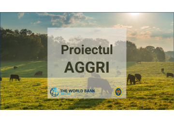 Întreprinderile de creștere a animalelor pot depune până pe 17 mai cereri de subvenții în cadrul proiectului AGGRI.