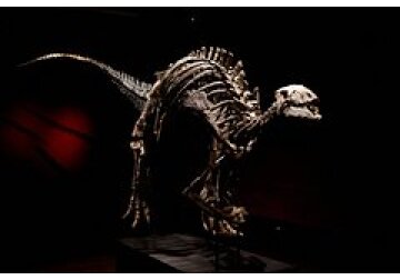 Динозавры опровергли старинное биологическое правило