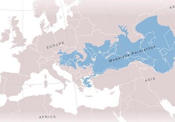 Покрывало Украину. Почему исчезло крупнейшее озеро