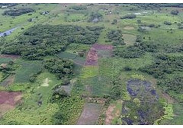 Раскрыта тайна крупнейшего памятника майя