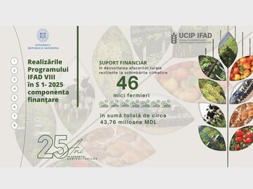 În prima jumătate a anului 2025, 46 de antreprenori agricoli au primit peste 43,7 milioane de lei din fondurile IFAD, cu sprijinul instituțiilor financiare partenere