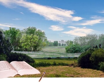 Provisions of Moldova’s new Land Code, enabling local authorities to lease out lands unused by their owners for 2 consecutive years, will come into force as of April 1