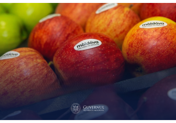 Moldova has gained free access to the world's largest Indian apple market