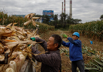 Названа большая ошибка Китая