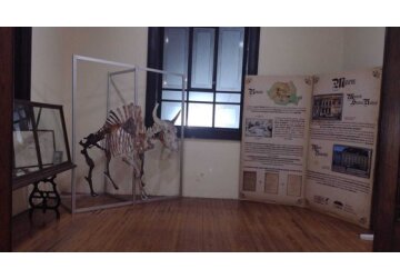 Muzeul de Istorie Naturală din Sibiu expune piese la Muzeul Institutului de Geologie din Mexic 