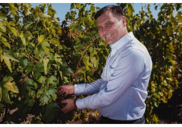 Record înregistrat de Combinatul de Vinuri „Cricova” în 2023 - a avut cel mai mare profit din toată istoria sa! 