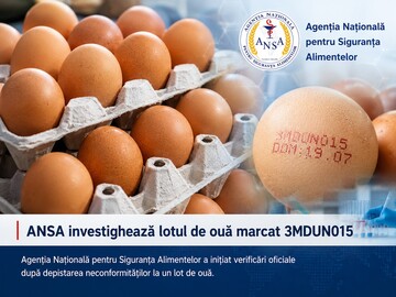 В Молдове изъяли из продажи партию куриных яиц из-за риска заражения сальмонеллой
