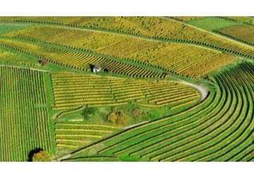 Ministerul Agriculturii Moldovei a făcut apel la cetățeni să gestioneze rațional și eficient resursele funciare și să adere la principiile agriculturii durabile.