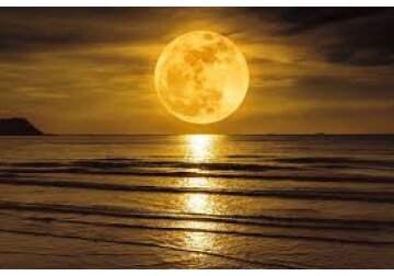Ce este „Luna Castorului” și de ce are acest nume