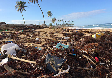 Мировая экономика заплатит за загрязнение планеты