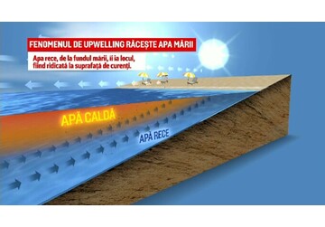 Motivul pentru care temperatura apei din Marea Neagră a scăzut la 12 grade Celsius, în doar o zi. Avertisment pentru turiști