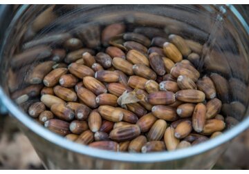 LUCRĂRI DE ÎNVERZIRE ÎN RAIONUL ORHEI