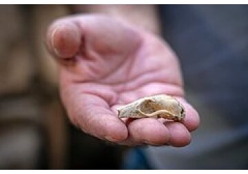 Анализ древних артефактов подтвердил возраст Иерусалима