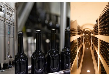 Инвестиции в расширение производственных мощностей винодельни Purcari составляют 20 млн евро